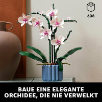 Orchidee